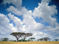 Image_0013.kenya.masai_mara.sky