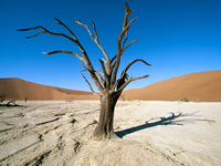 Image_0023.namibia.namib_desert.namib-naukluft_park