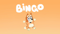 Bingus_intro