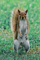 0ed5fb4b576c4786149741b9e8575524