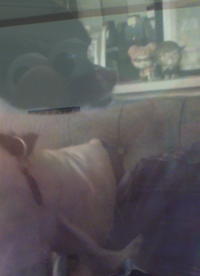 Blob